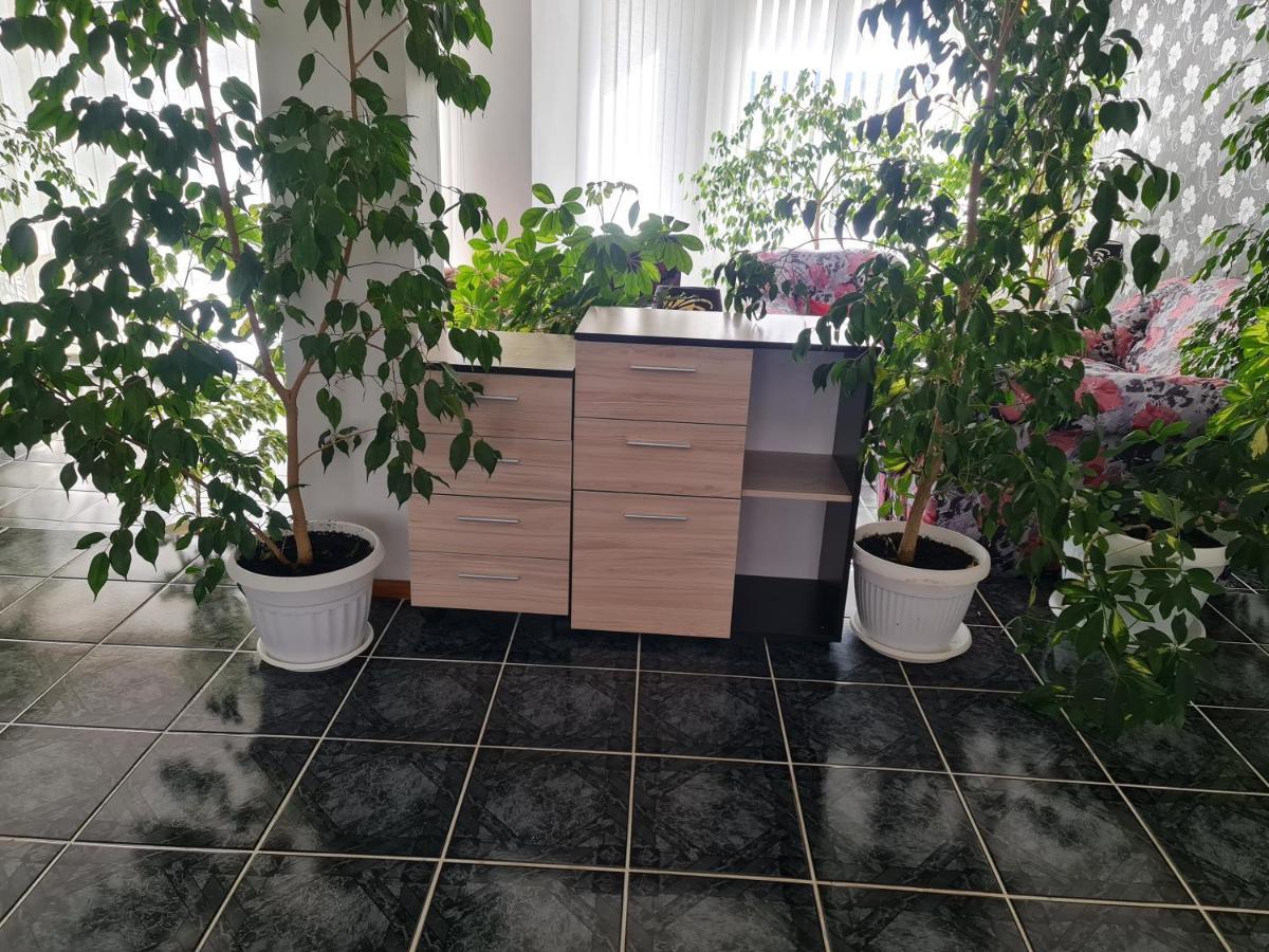 Hotel Rai Obrochishte 외부 사진